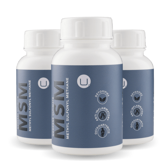 3 pack special MSM Bone Joint Support