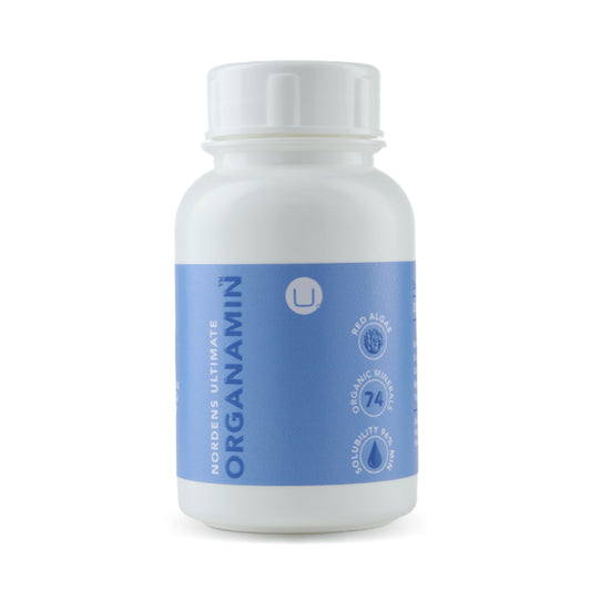 Organamin Calcium Magnesium Capsules