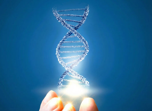 Activating Your Body's Innate Stem Cell Mechanism